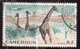 N°47     -Oblitéré   -Girafes- Cameroun - Jirafas