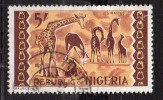 N°188     -Oblitéré   -Girafes- Nigeria - Giraffen