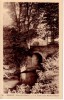 62  HESDIN    PAS DE CALAIS  - PONT  MARRONNIERS  - CPSM   SEPIA  9x14 TBE - Hesdin