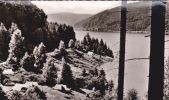 Cp , ALLEMAGNE , ODERTALSPERRE Bei Bad Lauterberg , Ferienzeltplatz Gruner - Bad Lauterberg