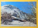 Delcampe - Dep 73 , Cpm VAL D'ISERE , Vieux Clocher De Bellevarde (480) - Val D'Isere