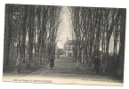 Saint-Paterne (72) : L'allée Du Château En Direction Du Bourg En 1910 (animée). - Saint Paterne
