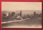 X0310 Burtigny Près Rolle, Vue Générale.Cachet Burtigny 1919. Lüscher Carte-Photo - Burtigny