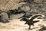 (NZ10-009 )   Archaeopteryx   Fossils  , Postal Stationery-Postsache F - Fossilien