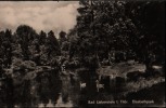 AK Bad Liebenstein/Thüringen, Elisabethpark, Um 1960 - Bad Liebenstein