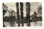Denain (59) : La Maison Pres Du Parc Aux Cygnes En 1950 PHOTO VERITABLE. - Denain