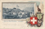 Suisse -  Gruss Aus Buchs-Werdenberg - Carte Gaufrée  - Alpinisme Montagne -  Cachet 1902 - Buchs