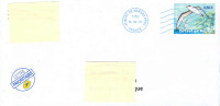 France 2007 -  Postage Used Cover From France  In Czech Republic - Meeuwen