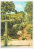 Postcard - Edenkoben   (V 8253) - Edenkoben