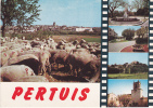 PERTUIS (84) - Avec Les Moutons .... Et Vues Diverses - Pertuis