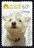 Australia 2010 Dogs - Adopted & Adored 60c Daisy Self-adhesive Used - Gebruikt