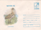 BIRD, OTIS TETRAX, 1993, COVER STATIONERY, ENTIER POSTALE, UNUSED, ROMANIA - Cigognes & échassiers
