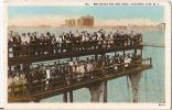 NEW JERSEY  - ATLANTIC CITY - WATCHING THE NET HAUL - OLD POSTCARD - - Atlantic City