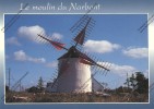 ERDEVEN Morbihan 56 : Le Moulin à Vent Du Village De LISVEUR  Windmill Windmühle Wind Mill - Erdeven