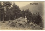 Carte Postale Ancienne Saint Agrève - Le Char à Vaches - Attelage - Saint Agrève
