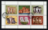 SHARJAH 1972 OBL. Animaux - Chats - Schardscha