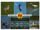 Vogelparadies Neusiedlersee - Other & Unclassified