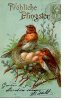 Pfingster Pinksteren Pentecote Vogels Oiseaux Birds Vogeln Nid Nest  Fantasie Fantaisie Fantasy Fantasia - Pfingsten