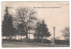 AK Wœrth Wörth A.d. Sauer, Elsass Alsace Baum Denkmal 1911 - Woerth