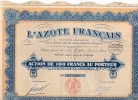 L'Azote Français Action De 100 Francs Au Porteur - Agriculture