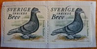 Suede - 2004 - YT 2395 - Oiseau Bird - Pigeon Svensk Tumlett - Palomas, Tórtolas
