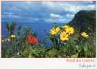 AZZORRE ACORES Ilha Das Flores - Açores