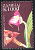 Zm9934 ZAMBIA 1999, Orchids, Flowers (Masdavallia),  MNH (flowers) - Zambie (1965-...)