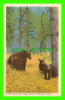 BLACK BEAR AND CUBS - BANFF, ALBERTA - BANFF NATIONAL PARK - BYRON HARMON - - Bears
