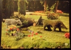 CPSM 85 LUCON JARDIN DUMAINE LE LOUP ET L'AGNEAU 1980 Voyagee - Lucon