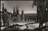 AK Oberhof, Wintersonne Im Thüringer Wald, 1959 - Oberhof