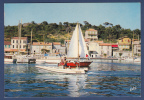 83 - SAINT MANDRIER- Le Port Et Sa Grande Activité Nautique - Très Bon état - Saint-Mandrier-sur-Mer