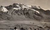 SUISSE, Adelboden, Alp Engstligen Wildstrubel, écrite, Timbre Décollé - Adelboden