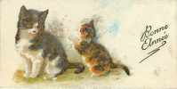 Animaux - Chats - Chat - Cats - Cat - Chatons - Bonne Année - Petite Carte De Voeux  - état - Chats