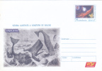 HISTORY OF WHALE HUNTING, 2004, COVER STATIONERY , ENTIER POSTALE, UNUSED, ROMANIA - Walvissen