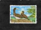 VANUATU : Oiseaux Aquatiques : Le Fou Brun (Sula Leucogaster) - Pélicaniformes - Pelikane