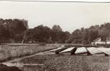 CPA (78)    CHATOU Institut Du Bon Sauveur      Le Jardin Potager - Chatou