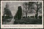 AK Lüneburger Heide: Heideweg Konstantinopel-Schwindebeck, Gel Frankiert 1936 - Lüneburger Heide