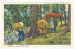 Postcard - Minnesota   (5358) - Altri & Non Classificati