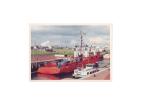 864. Postcard / Pays Bas / Netherlands / Países Bajos / Barco / Bateau / Ship - Tankers