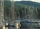 Camden - Maine - Port Des Etats-Unis - Bateaux/ships/schiffe - CPM - Other & Unclassified