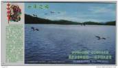 Water Bird,China 2005 Leping Cuiping Lake Reservoir National Water Conservancy Scenic Spot Advertising Pre-stamped Card - Storchenvögel