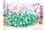 ECHINOFOSSULOCACTUS LAMELLOSUS-Romania 1997,timbres Utilises,stamp Used, - Sukkulenten