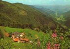 LAPOUTROIE Ferme Auberge De La Graine Johé - Lapoutroie