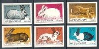 BULGARIA \ BULGARIE - 1986 - Rabbits - 6v ** Non Dent. - Conejos