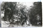 CPA 91 -  Yerres - Les Bords De L´Yerres, Circulé 1957 - Yerres