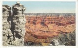 Grand Canyon AZ Arizona, Column Near O'Neill's Point, On C1900s/10s Vintage Detroit Publishing Postcard - Grand Canyon