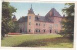 Carte Postale Ancienne De Haute-Savoie - Douvaine - Château De Troches - Douvaine