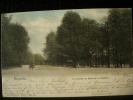Buxelles - Brussel - Cloche Au Bois De La Cambre - 1903 Envoyée - Verzonden - Nels  - Lot AM33 - Lanen, Boulevards