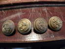 Lot De Boutons Marine - Buttons