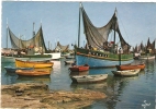 29  LESCONIL   Bateaux De Peche Dans Le Port - Lesconil